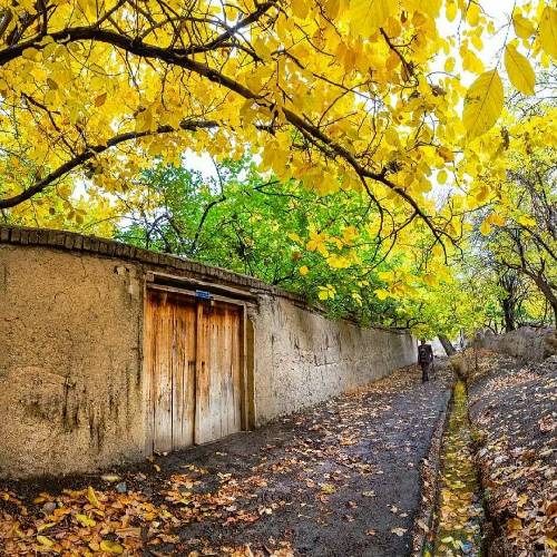 امیرحسین جمعه زاده تکیه گاه پدری تو یدونه پسری